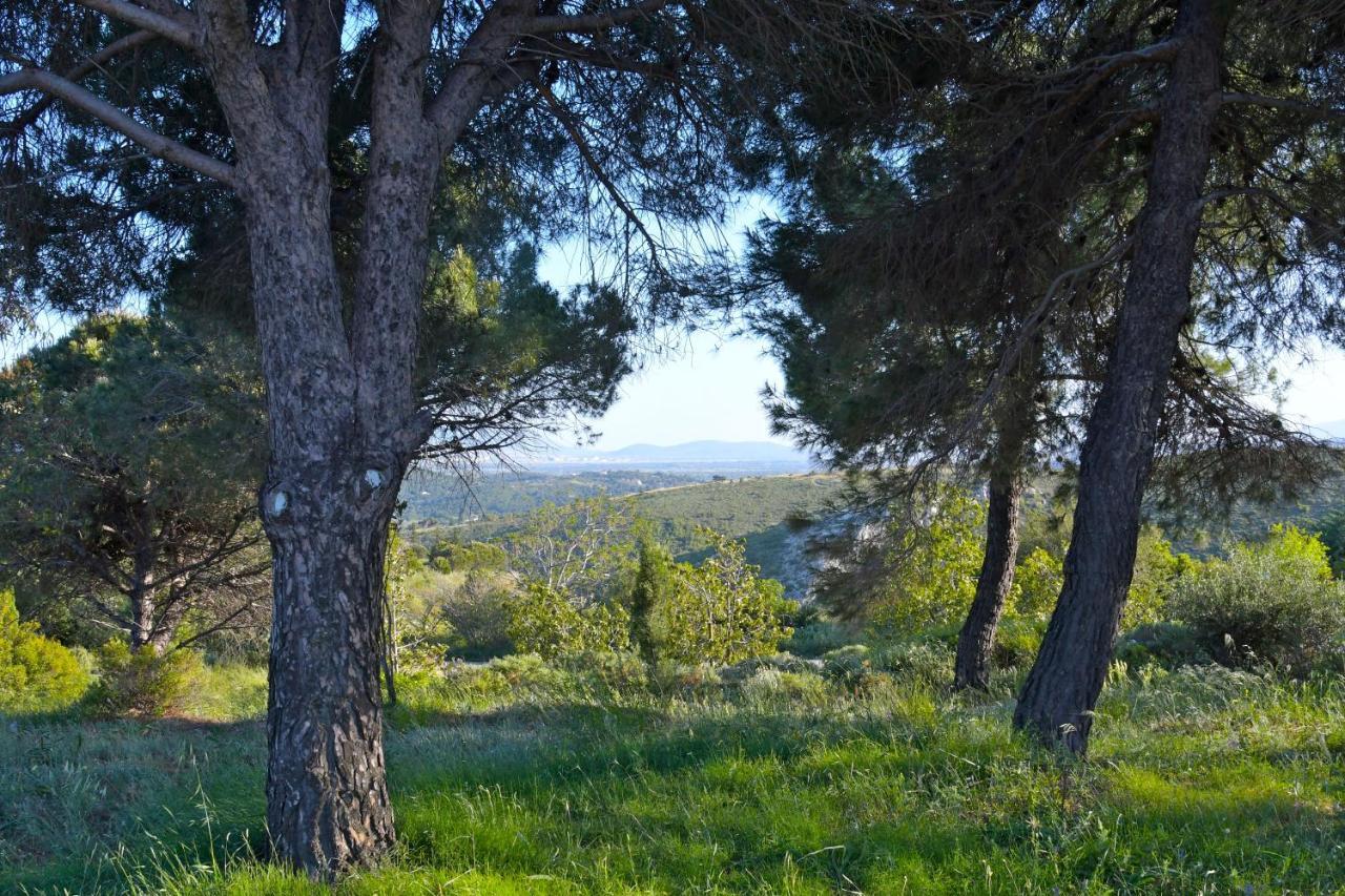Priamos Kalitehnoupoli Villa Rafina  Luaran gambar